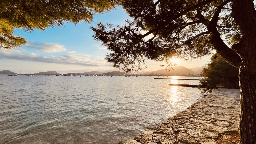 Port de Pollença - Pinewalk am Abend