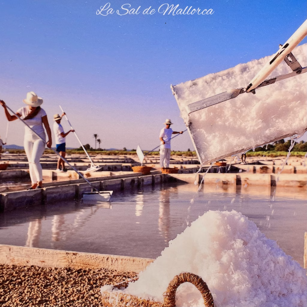 la sal de mallorca