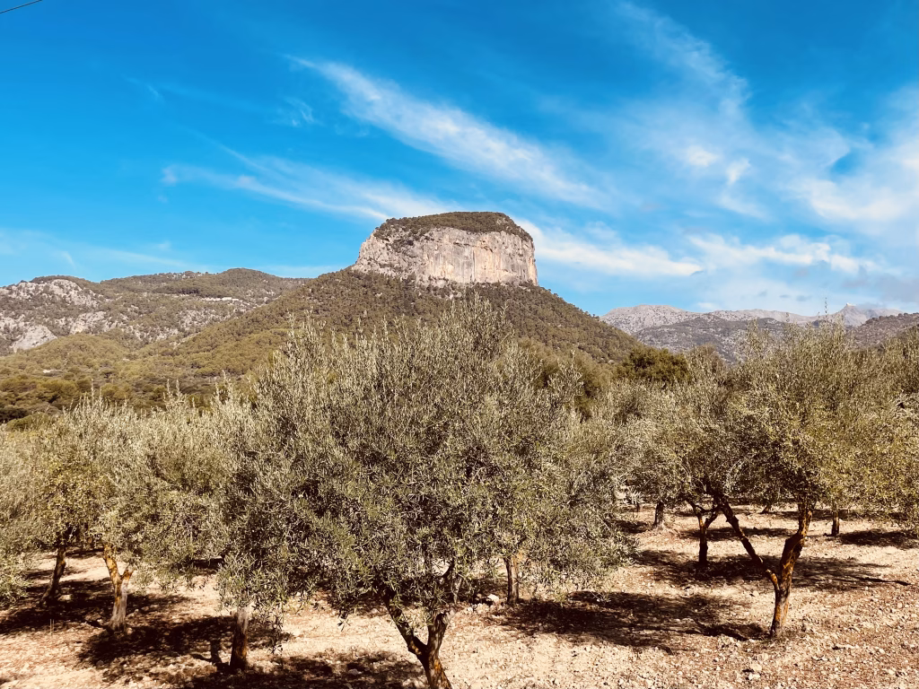 Puig d’Alaró nah